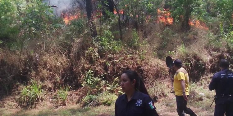 División Ambiental de la SSP trabaja para apagar el incendio en el Cerro de la Cruz