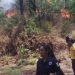 División Ambiental de la SSP trabaja para apagar el incendio en el Cerro de la Cruz