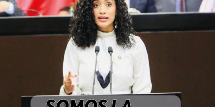 PRD Michoacán, se solidariza con la Diputada Federal, Edna Díaz