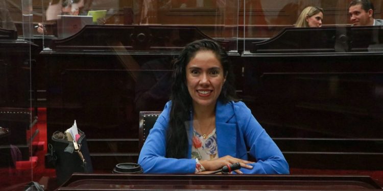 Firme Representación Parlamentaria contra procedimiento irregular sobre Cuenta Pública: Fanny Arreola