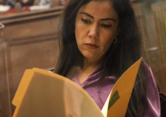 En acciones de combate a la violencia doméstica, fundamental la atención psicológica: Fanny Arreola