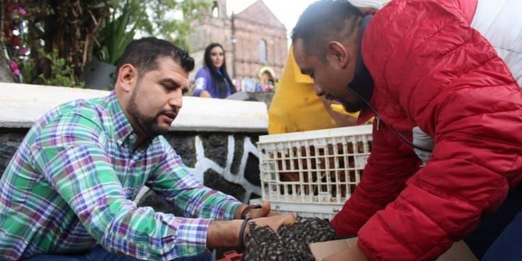 En Charapan, PRD pone en marcha el programa «El sol sale para todos»