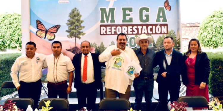 Anuncian reforestación masiva en el oriente de Michoacán