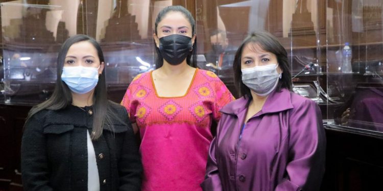 Funcionamiento gubernamental debe estar sujeto a indicadores: Fanny Arreola