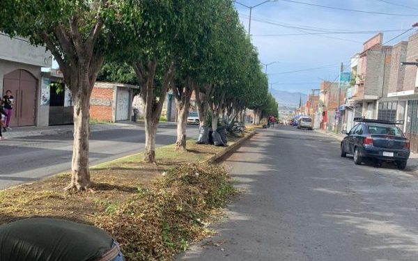 Se suman tarimbarenses a jornada de limpieza en Erandeni