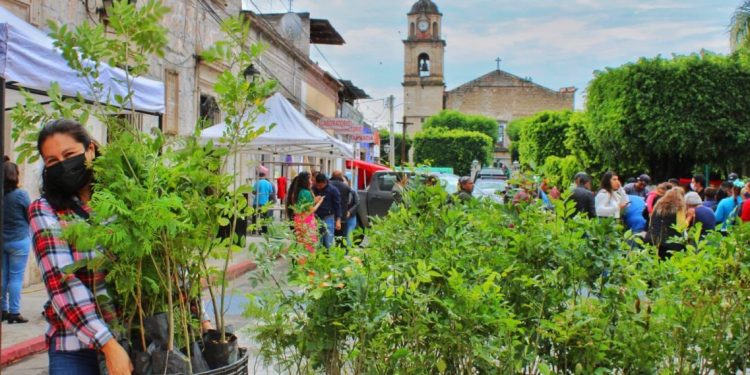 Entrega Gobierno de Tarímbaro 10 mil árboles a Jefes de Tenencia para reforestar