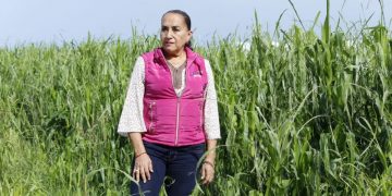 Frente a crisis en el campo, es urgente frenar la pérdida y desperdicio de alimentos: Julieta Gallardo