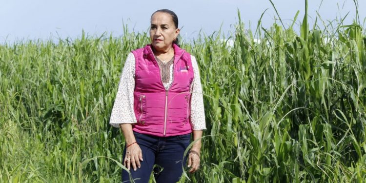 Frente a crisis en el campo, es urgente frenar la pérdida y desperdicio de alimentos: Julieta Gallardo