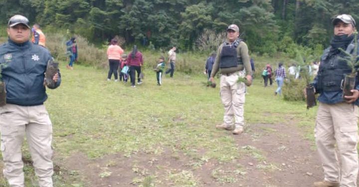 SSP participa en campañas de reforestación en el estado