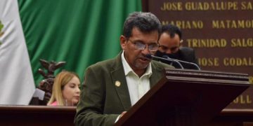 Urge regular jornadas laborales de policías en Michoacán: Reyes Cosari