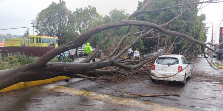 Atiende Ayuntamiento contingencias por lluvias