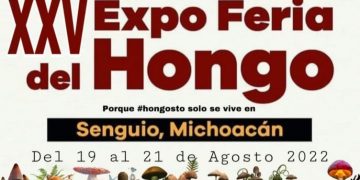 Ferias y fiestas tradicionales ofrece Michoacán este agosto