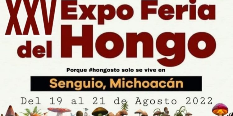 Ferias y fiestas tradicionales ofrece Michoacán este agosto