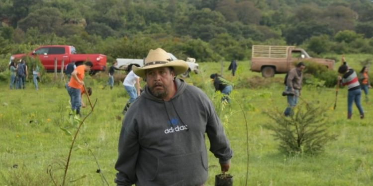 Crea Alfonso Martínez nuevo “pulmón” para Morelia