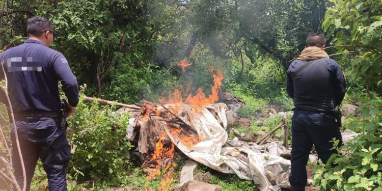 Guardia Civil asegura campamento presuntamente utilizado para actividades ilícitas, en Zacapu