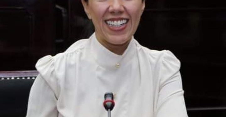 Reforma comicial debe fortalecer instituciones electorales, no vulnerarlas: Fanny Arreola