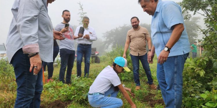 Realizan jornada de Reforestación en Acahuato