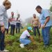 Realizan jornada de Reforestación en Acahuato