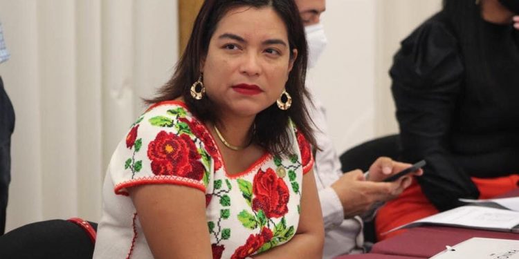 En revisión de Leyes de Ingresos Municipales, la prioridad es cuidar la economía de los ciudadanos: Eréndira Isauro