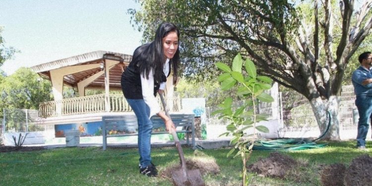 Cuidado del medio ambiente es elemento base del desarrollo sustentable: Fanny Arreola