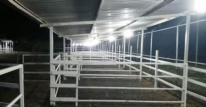 En Expo Apatzingán vuelve la espectacular Exposición Ganadera con animales de Registro Certificado