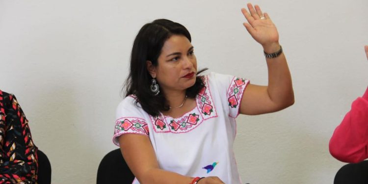 Se traza ruta para análisis de Leyes de Ingresos, firme el apoyo a economía familiar: Eréndira Isauro Hernández