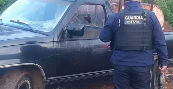 Asegura SSP, vehículo cargado con madera aparentemente ilegal