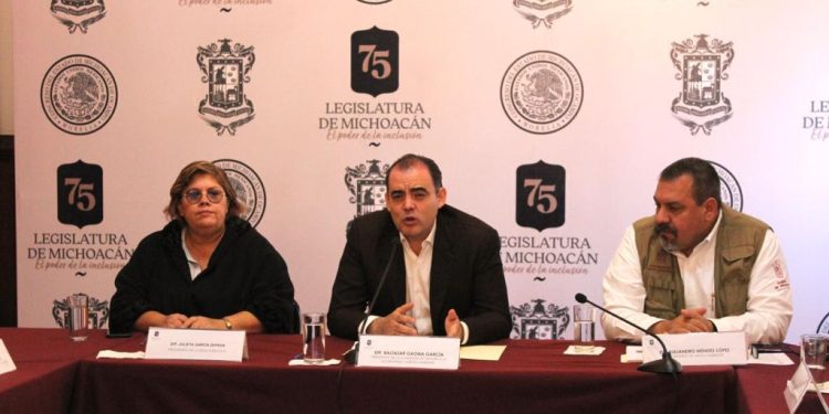 No podemos esperar a que llegue la hora cero: Balta Gaona