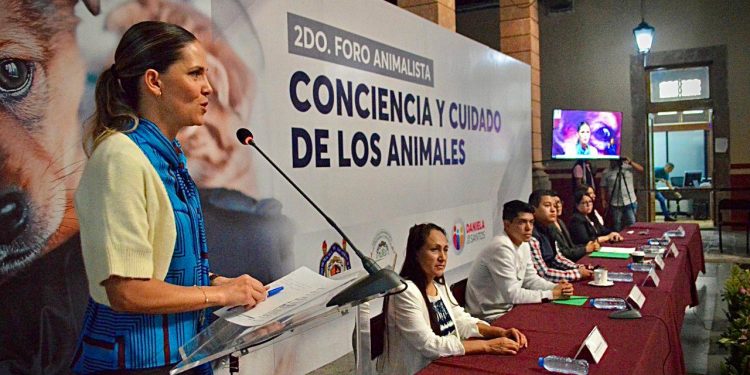 Trabaja 75 Legislatura en incremento a penas por maltrato animal: Daniela de los Santos