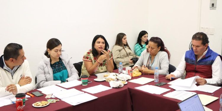 Con responsabilidad se concluirá, en tiempo y forma, revisión de Leyes de Ingresos Municipales: Eréndira Isauro