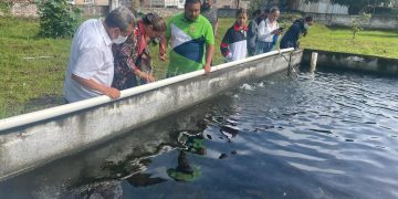 Telesecundaria de Los Reyes destaca con proyecto productivo agroecológico