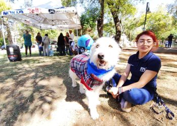 Invita CAA a evitar compra de mascotas como regalos navideños