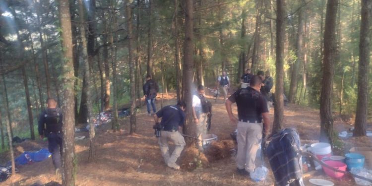 Guardia Civil y FGE desmantelan presunto campamento ilícito, en Ocampo