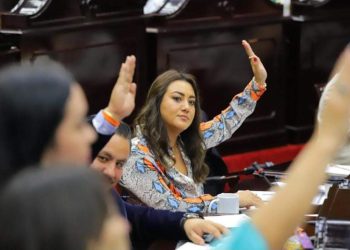 México no debe renunciar a estimular la propagación de empresas limpias: Mónica Valdez