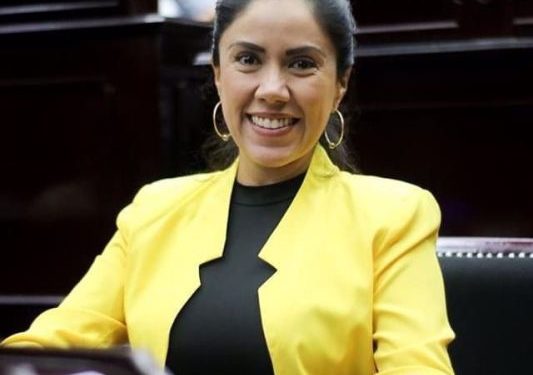 Publicación digital del Periódico Oficial, será obligatoria por la Ley y tendrá valor legal: Fanny Arreola