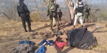 A través de la BOI: SSP, Sedena y GN desmantelan en Aguililla, presunto campamento ilícito