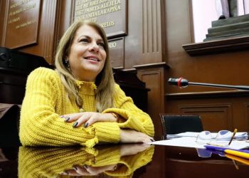 Centros de rehabilitación no deben dejar de operar: Dip. Luz García