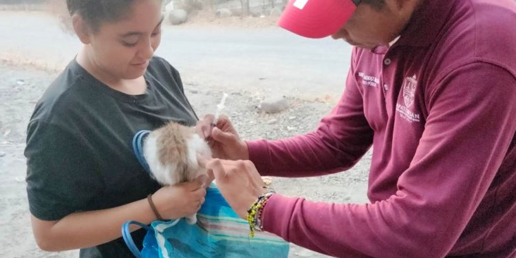Con éxito termina la campaña de vacunación anti rábica en Apatzingán