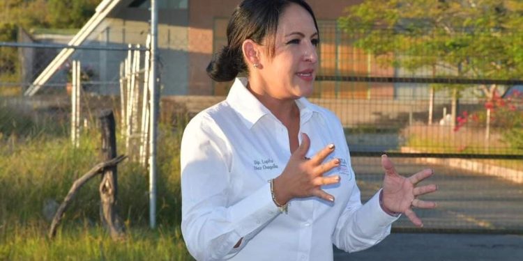 Necesario transparentar proceso de reconstrucción de escuelas dañadas por el sismo: Guadalupe Díaz Chagolla