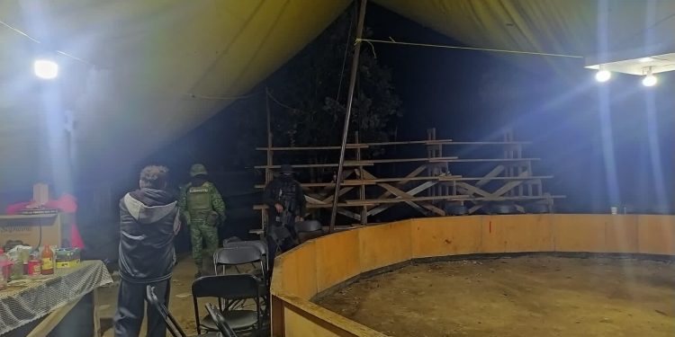 Desactivan SSP, Sedena y GN un palenque clandestino, en Zitácuaro