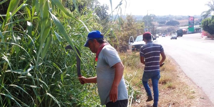 Gobierno de Juárez mantiene limpias carreteras y caminos bajo instrucción del alcalde Cornelio Ríos Paniagua