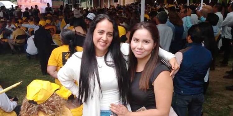 Verónica Castellanos Mendoza referente y perfil en el distrito local de Apatzingán