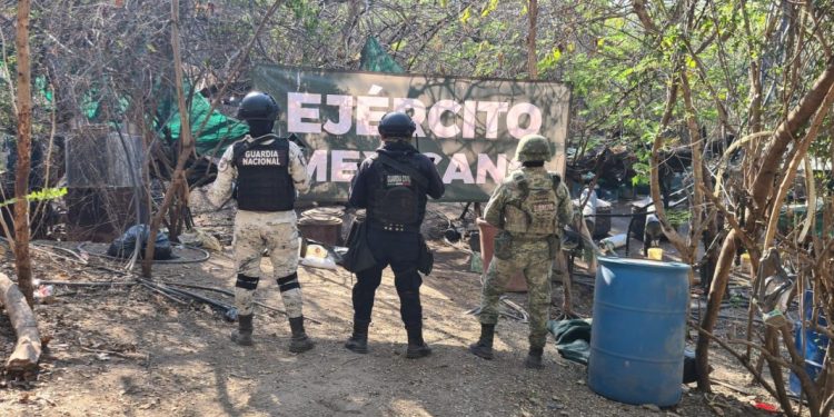 Mediante la BOI, SSP localiza y desmantela dos laboratorios de droga en Buenavista