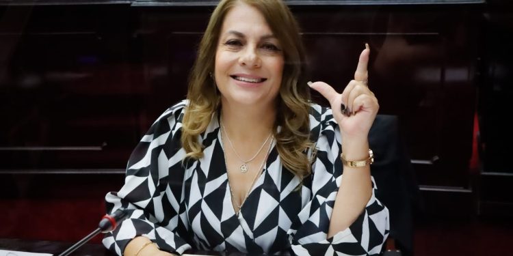 Regularización de los centros de rehabilitación va por buen camino: Dip. Luz García