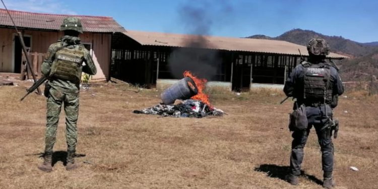 En Tumbiscatío: SSP y Sedena localizan y desmantelan campamento clandestino