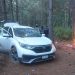 En Zitácuaro: tras operativo, SSP localiza campamento ilícito y vehículos robados