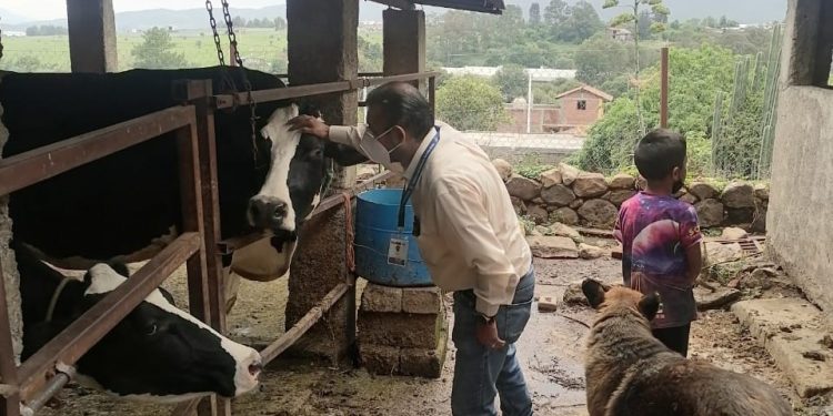 SADERMA da seguimiento a Programa de Mejoramiento Genético en bovinos 2023