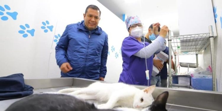 Juan Carlos Barragán, mantiene campaña permanente de esterilizaciones de animales de compañía