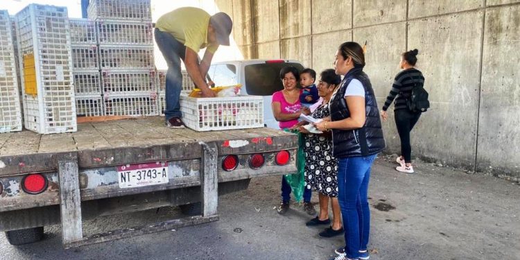 Julisa Farías regidora de Parácuaro entrega paquetes de gallinas a decenas de familias