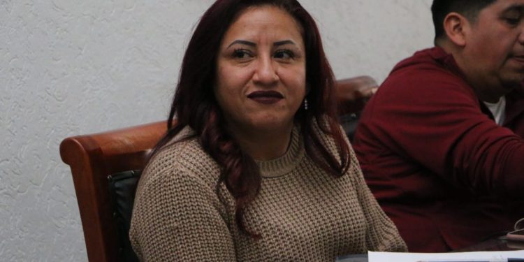 Auditor Superior dicta ilegales lineamientos  a contralores municipales: Seyra Alermán